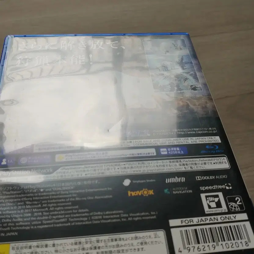 PS4 Monster Hunter Japan Version Bundle Official