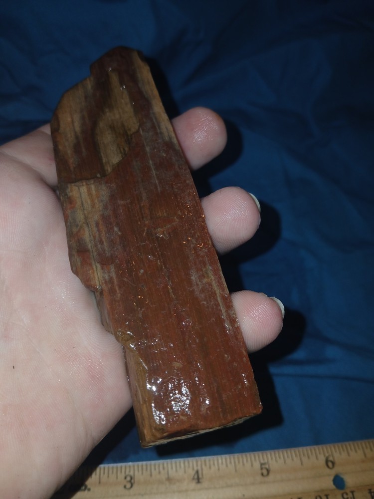 5 oz Agatized Petrified Wood