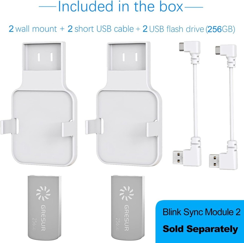 Lightweight USB Flash Drive 256GB with Easy Mount for Blink Module 2 - 2 Pack