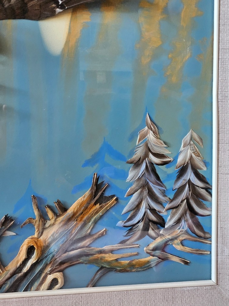 Multi Media 3D Bald Eagle in Flight Shadow Box Framed 37" x 33"