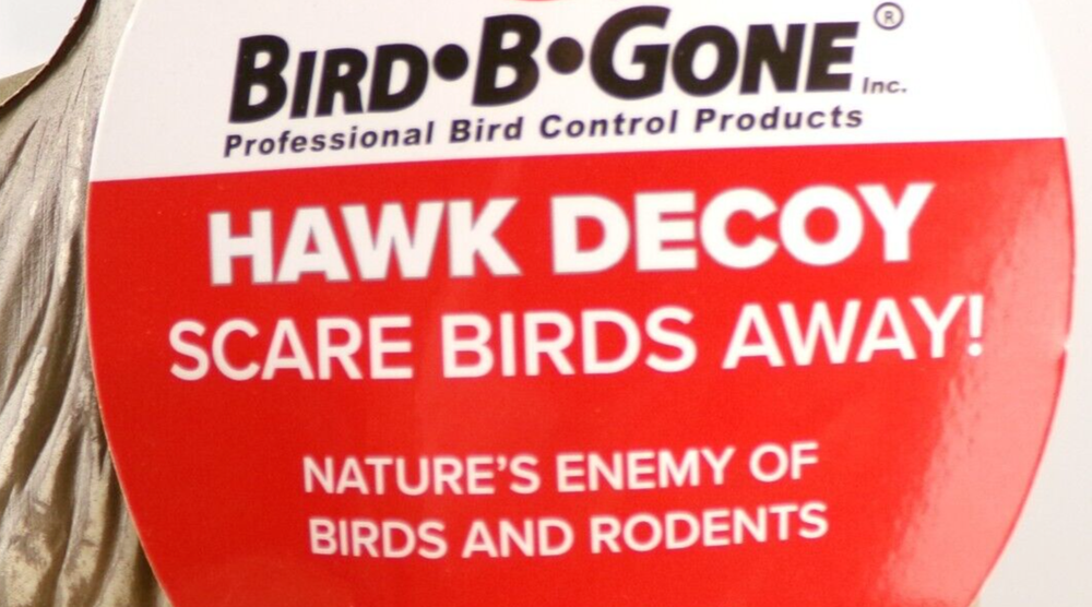 Bird-B-Gone 16" Hawk Decoy, New A2