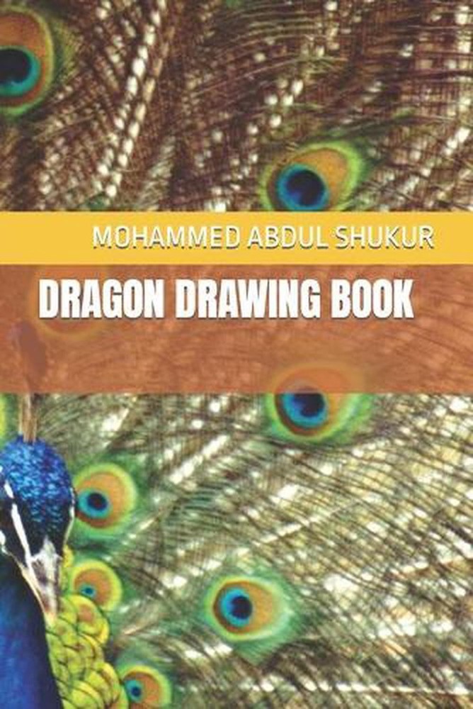Dragon Drawing Book
