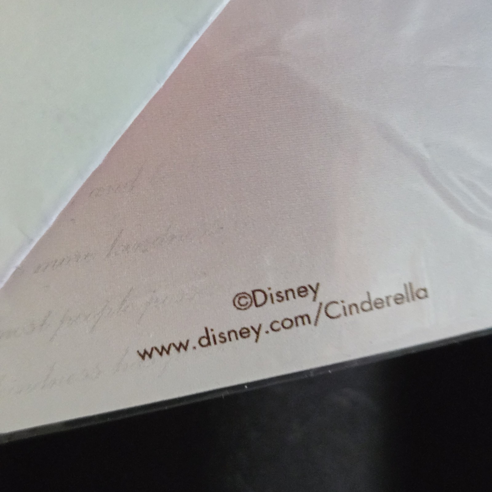 Hal Rubenstein/Disney Cinderella Embroidered Knee L Skirt Limited Edition Size 4