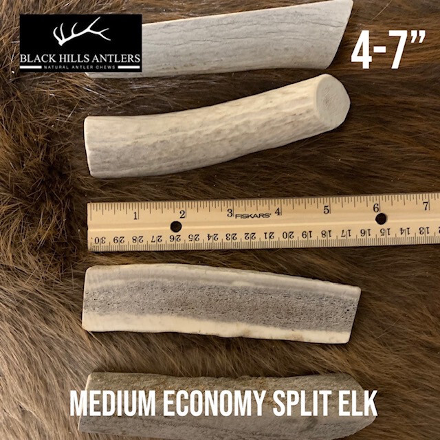 Medium Split Economy Elk Antler Dog Chew - 4 Pack