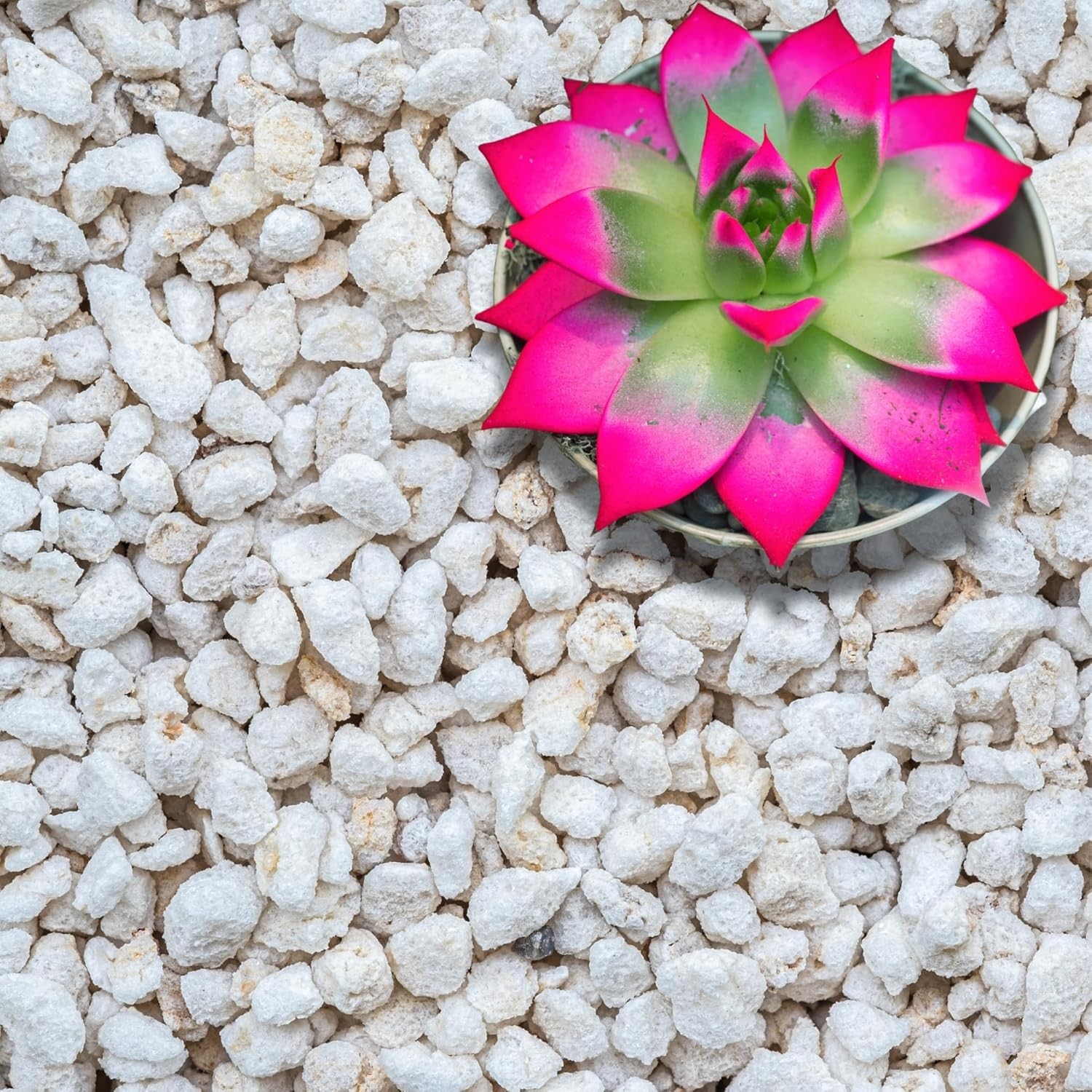 Extra Coarse Perlite Grade 4 | Organic Horticultural Soil Amendment for Drainage