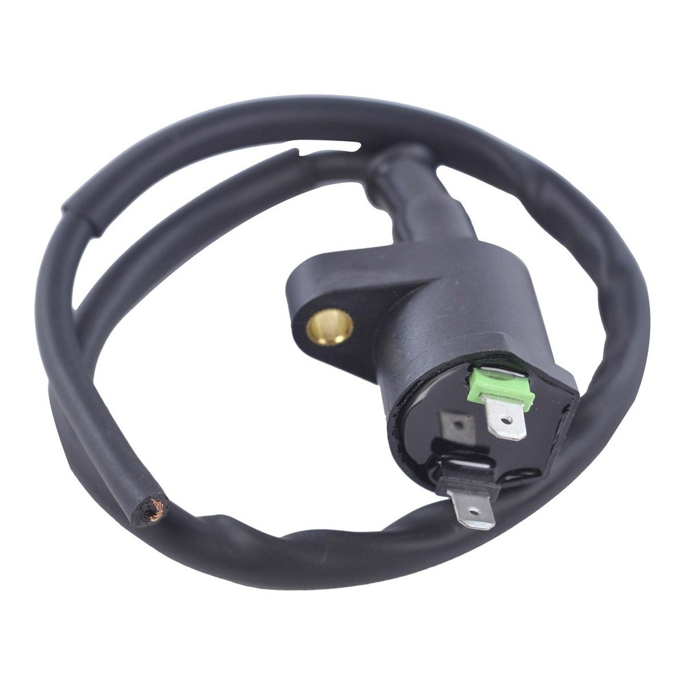 RM STATOR External Ignition Coil RM06025