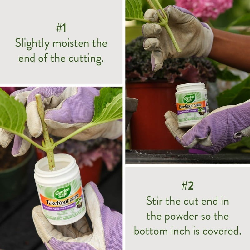 Garden Safe Take Root Rooting Hormone, 2-Ounce