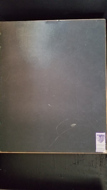 FIONA APPLE - "TIDAL" ORIGINAL **SIGNED ON MATTE** RIAA GOLD RECORD AWARD