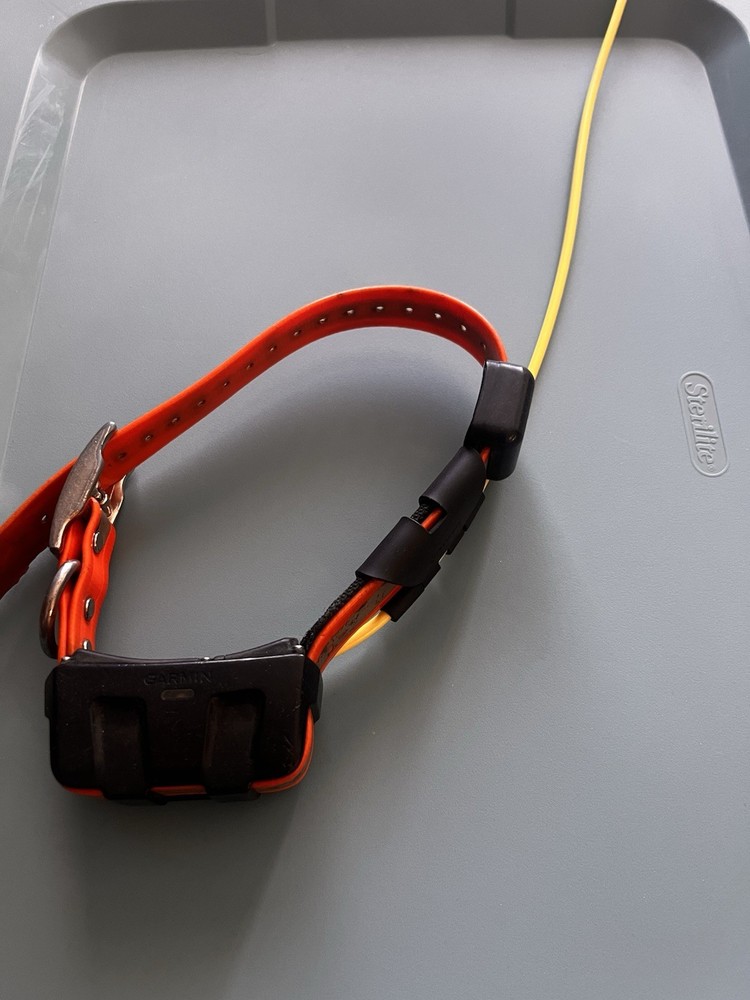 Garmin DC50 GPS Dog Tracking Collar US Version
