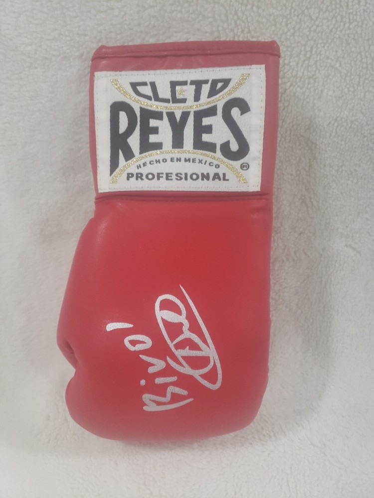 Bivol