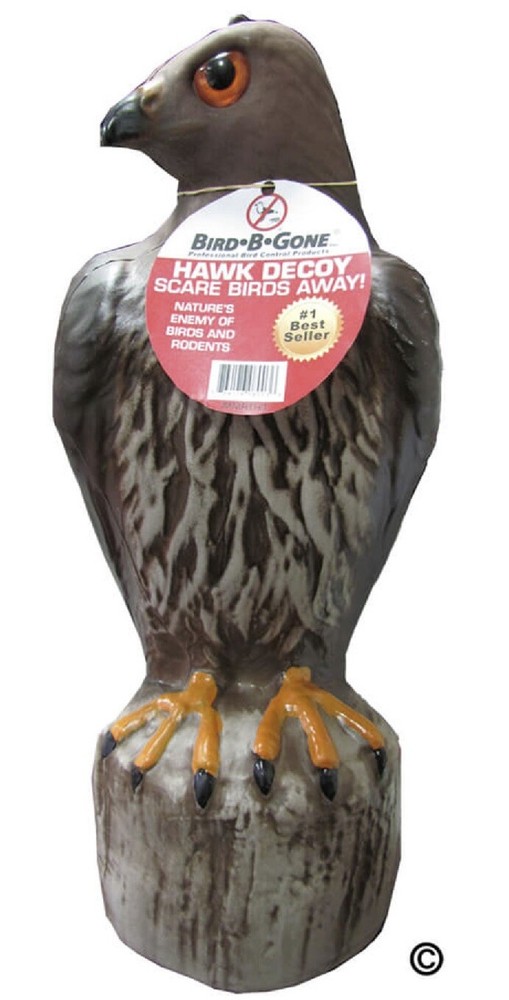 Bird B Gone MMRTH1 Red Tailed Hawk Plastic Predator Decoy