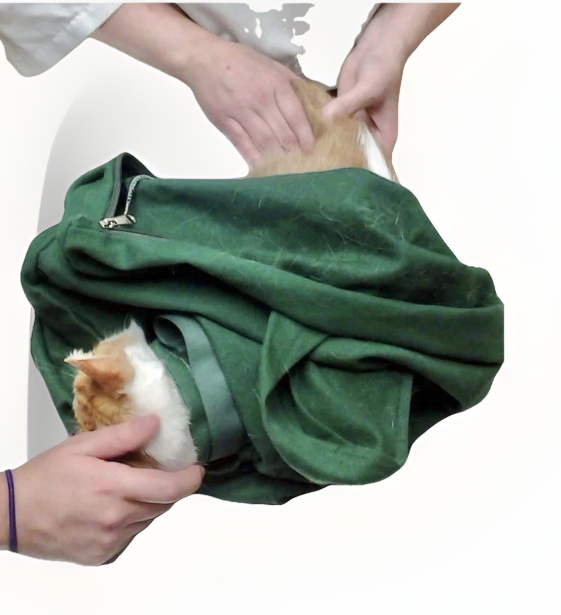 Cat-In-The-Bag Cozy Comfort Sack Bag Carrier Blue L-XL NWOT