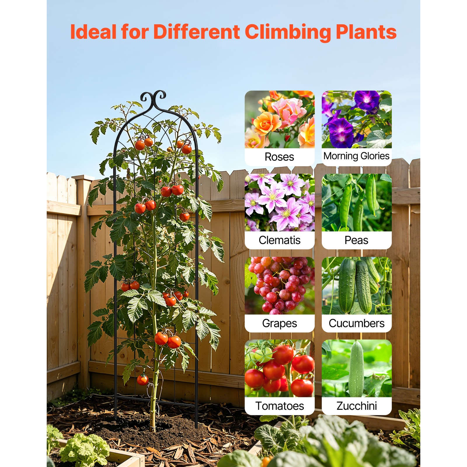 Uimoso Metal Garden Trellis 71" x 20" 2 Packs for Flower Plants Vegetables Yard