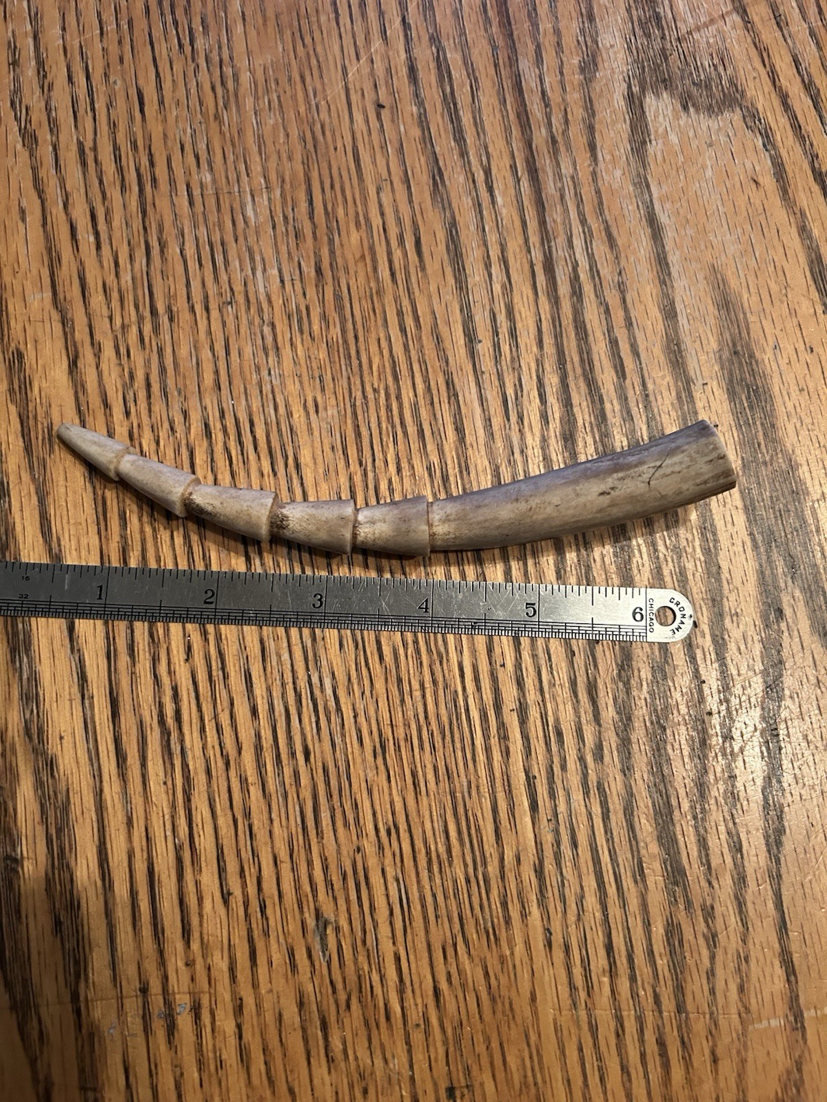 rare Inuit Pendant Signed “C” Unusual Carving 6” Alaska Art