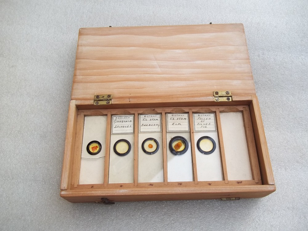 Vintage Glass Microscope Slides
