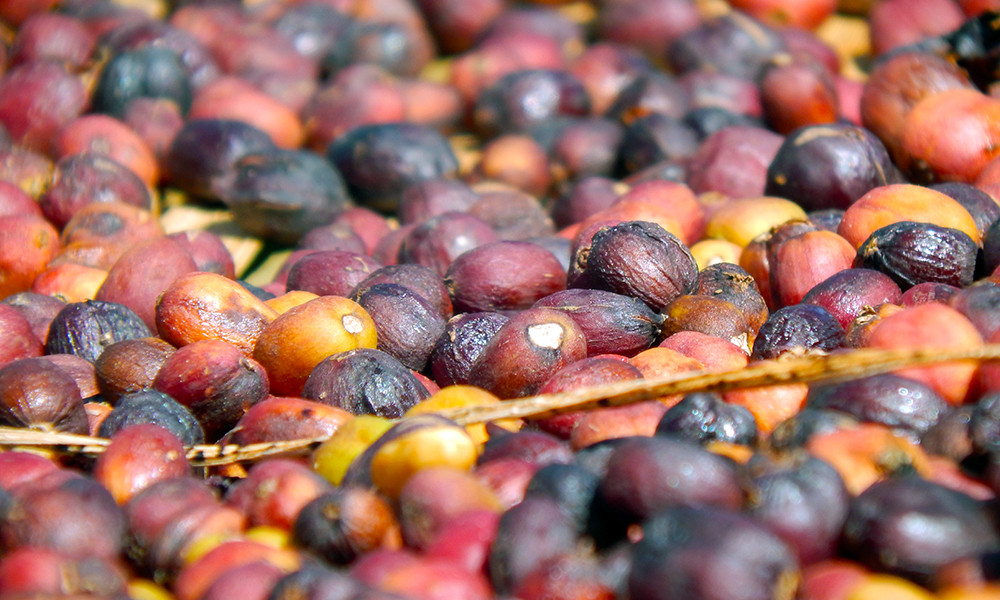 5 BEAN ESPRESSO COFFEE BEANS DARK ROASTED 5 POUNDS