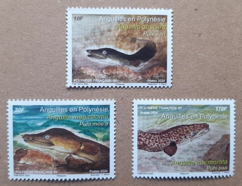 FRENCH POLYNESIA 2024 FAUNA Animals. Fish EELS - MNH