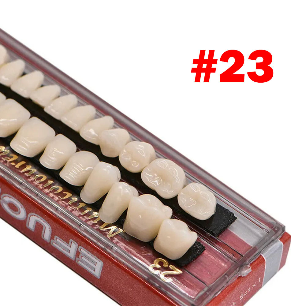 Dental Acrylic Resin Denture Shade A2 A3 Upper Lower Full Set False Teeth