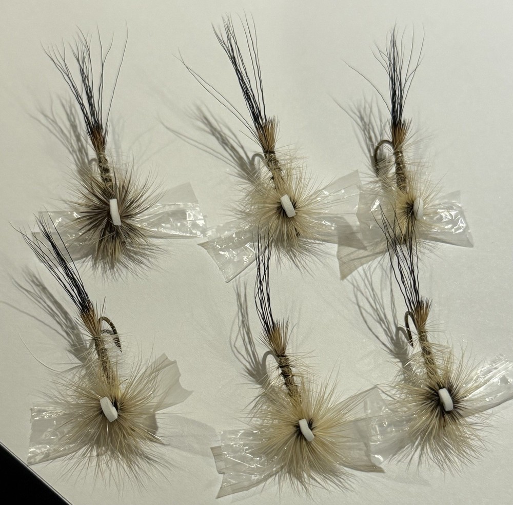 (6ct) Clear Wing Hex Spinner Dry Fly