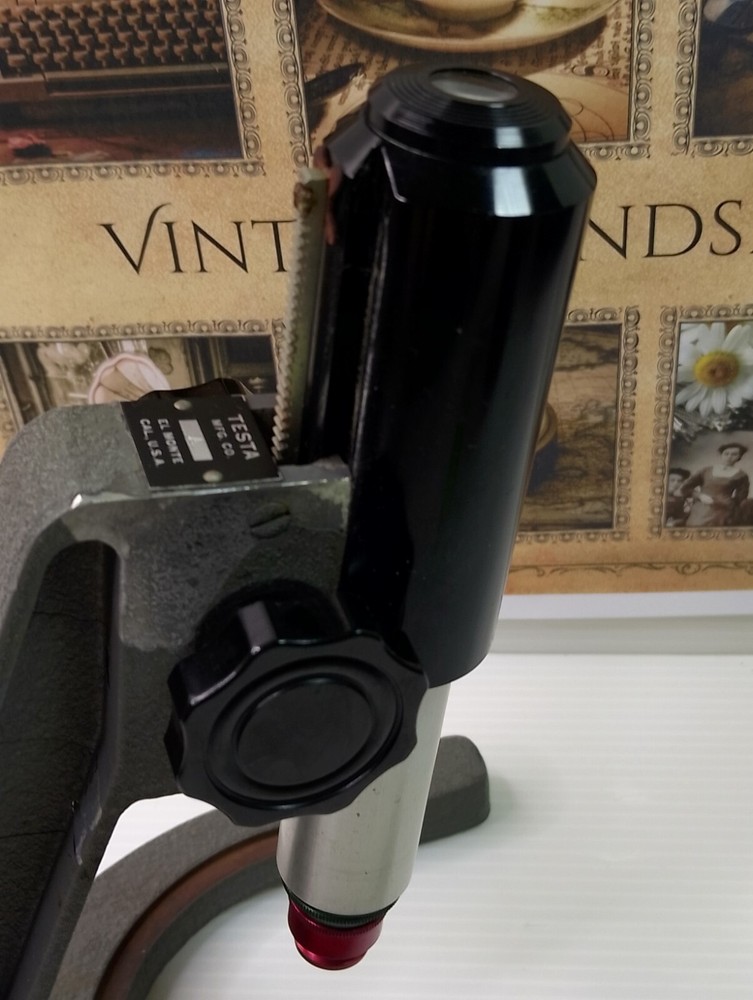 Testa Model A Widefield Vintage Microscope