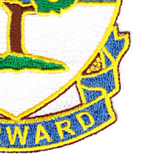 304th Infantry Regiment PatchH