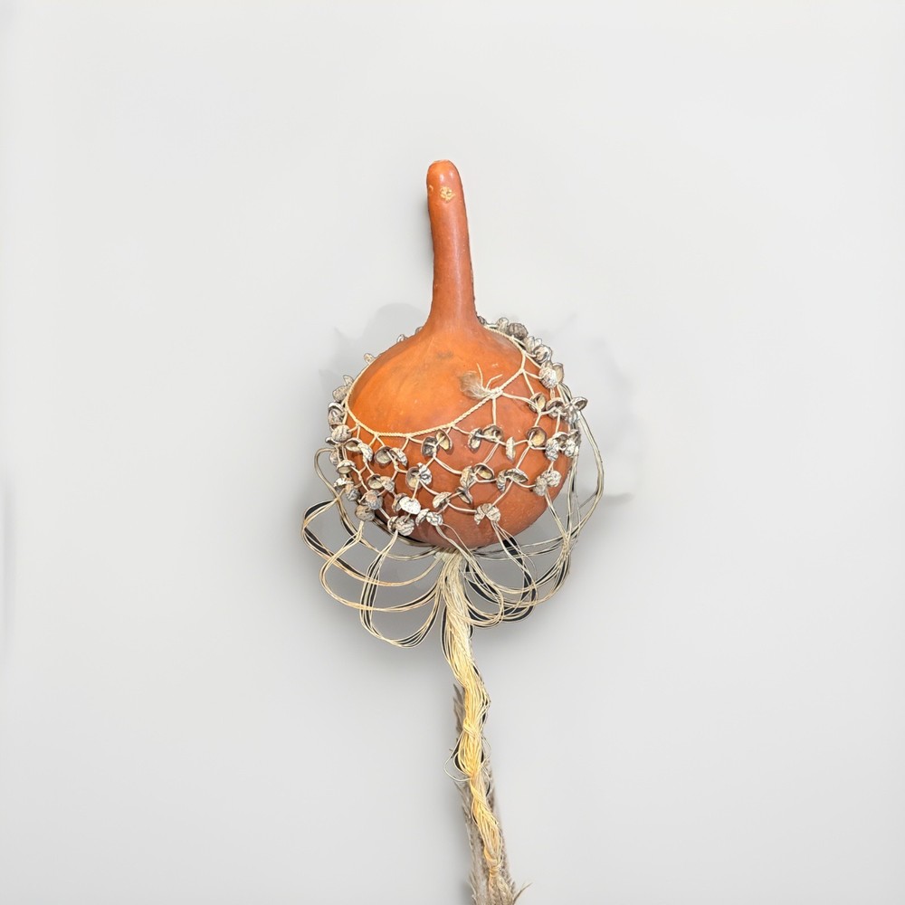 Shell Seeds Maraca Shaker Authentic