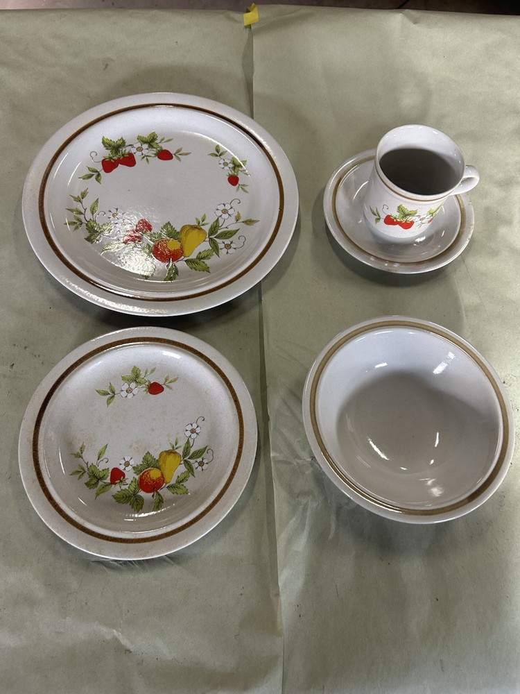 Five Piece Dinner Set Hallkraft Stoneware, Fruit Harvest