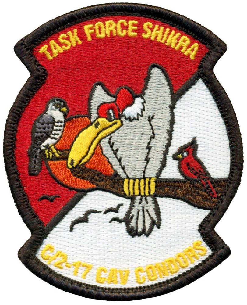 US ARMY C TROOP 2nd SQUADRON 17th CAVALRY CONDORS PATCH