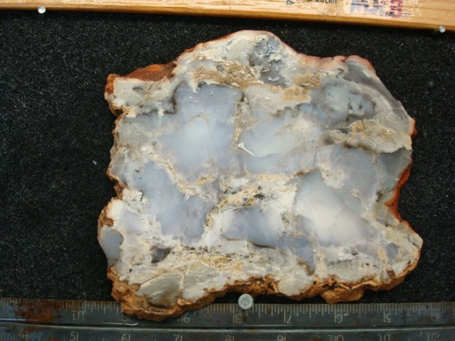 burro creek agate slab