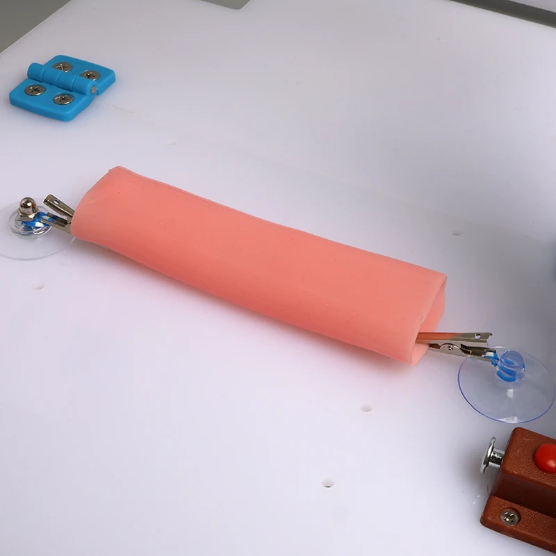 Laparoscopic Surgery Simulation Intestinal Anastomosis Training Module Intestine