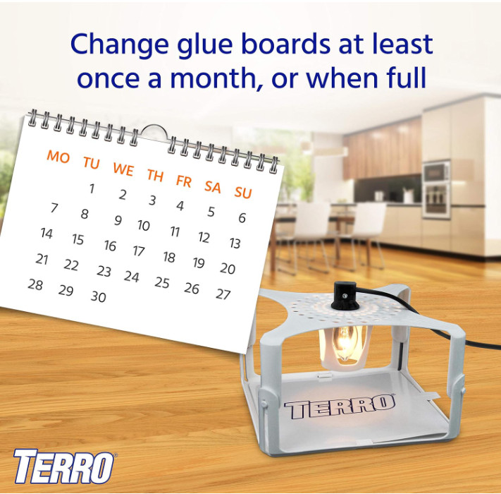 TERRO T231 Flea Trap Refills - Replacement Flea Trap Glue Boards,White, 3 Count