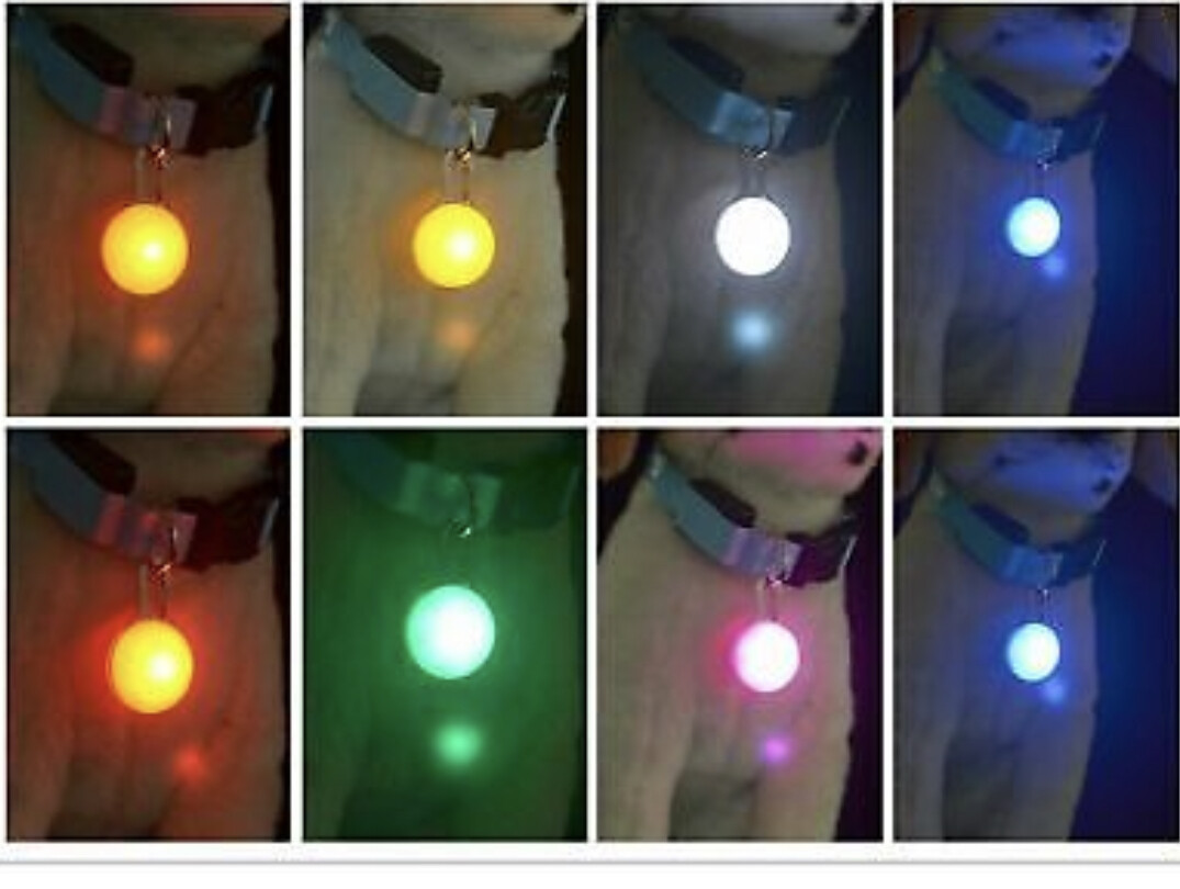 LED CLIP ON SAFETY LIGHT CAT DOG COLLAR PENDANT KEY CHAIN GLOW, FLASH, JOGGERS