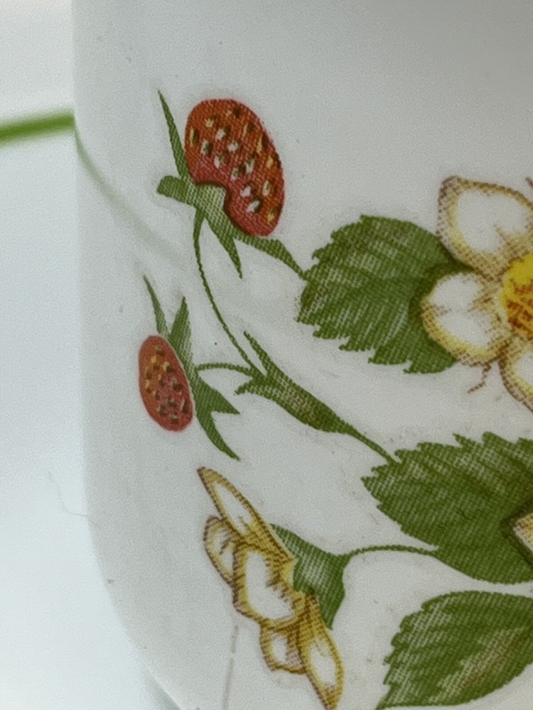 Corelle STRAWBERRY SUNDAE Dinnerware Set ~ 5 Piece Set