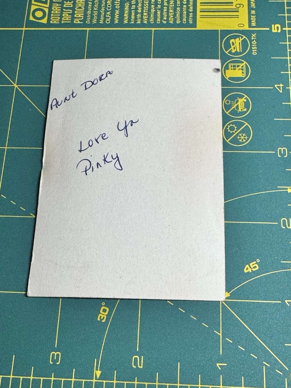 Vintage Photo Attractive African American Lady School Photo 1960’s