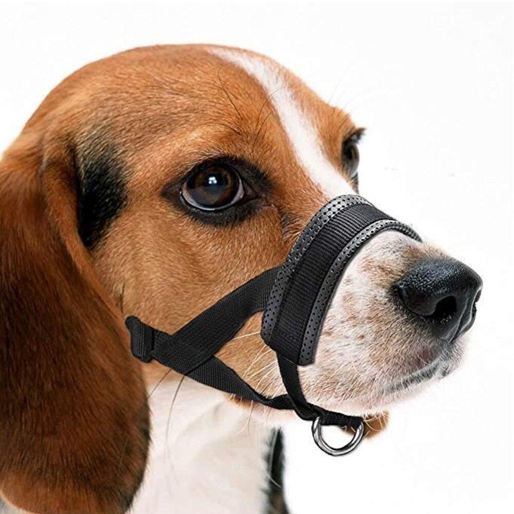 Adjustable Anti-biting Dog Muzzle Safe Collar Muzzle Pet Traction Halter Leash