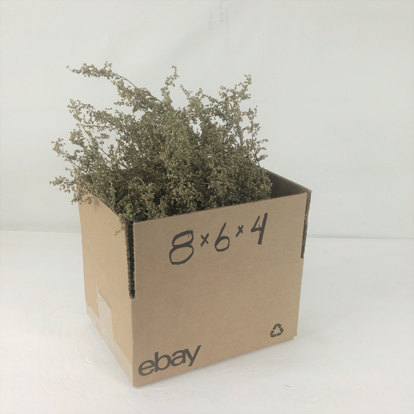 Sweet Annie Dried Shorts Non GMO Box Full 2025 Crop RJPE **3DAY SHIPPING**