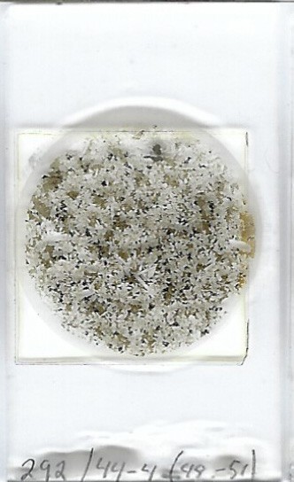 Thin-section Mount from DSDP Hole 292 Petrographic Microscope Slide 31-292-44-4