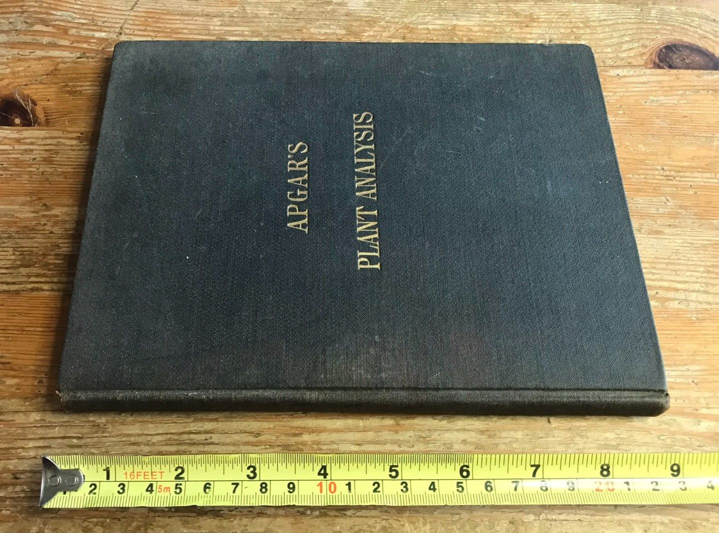 Antique Botanical Scrapbook 1889 Apgar's Analysis Pressed Plant Specimens Book