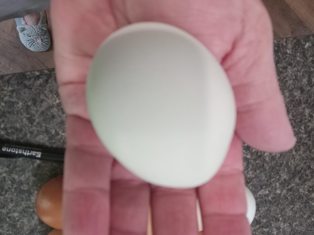 8 Dozen organic Dehydrated eggs all fresh,,