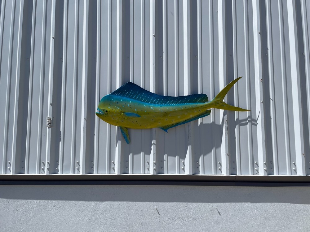 53" Bull Dolphin Half Mount (Mahi) Replica - Quick Production