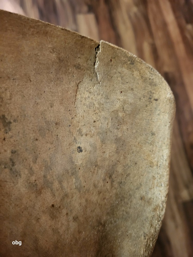 Historic Bison SHOULDER BLADE scapula