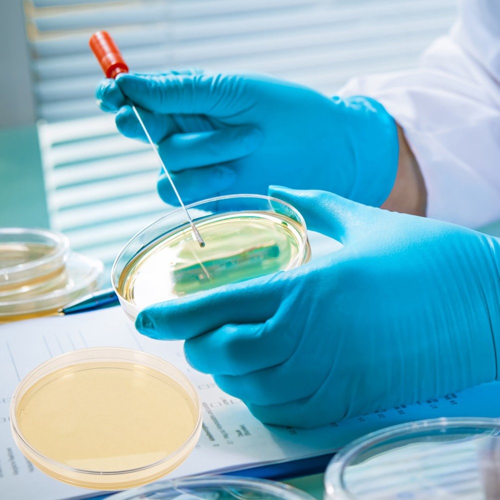 10 Pcs Prepoured Petri Dish Nutrient Agar Plate Extract