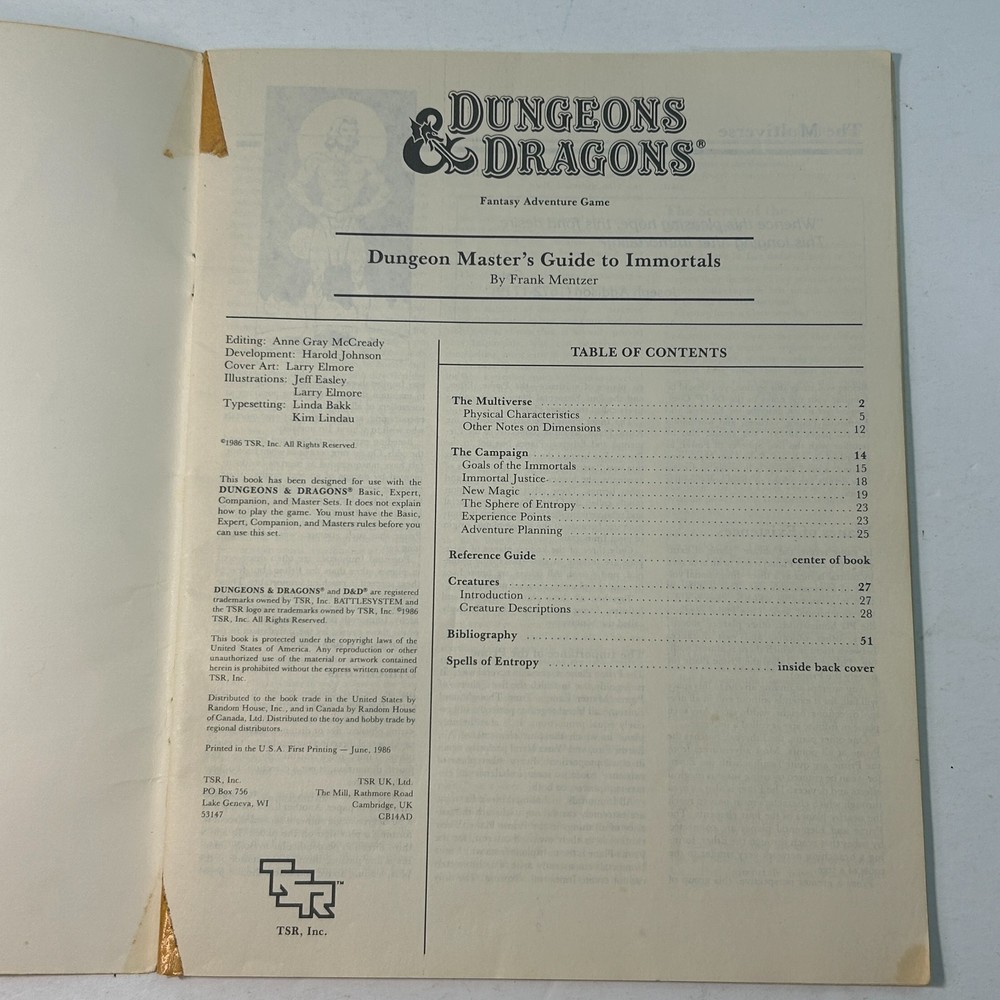 Dungeons & Dragons Immortals Rules DM's Guide 1986 TSR No Reference Pages FAIR