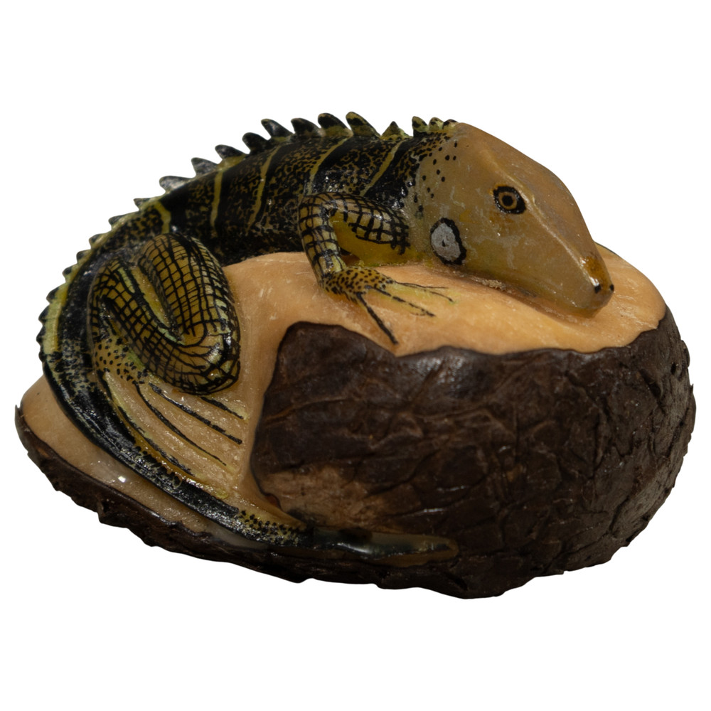 Iguana Lizard Tagua Carving
