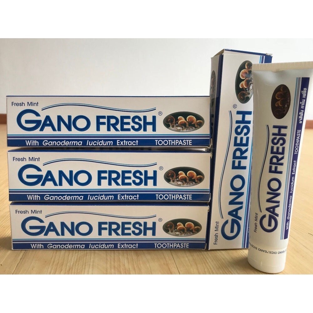 4 Boxes x 150g GANO EXCEL GANO FRESH TOOTHPASTE GANODERMA Free Shipping