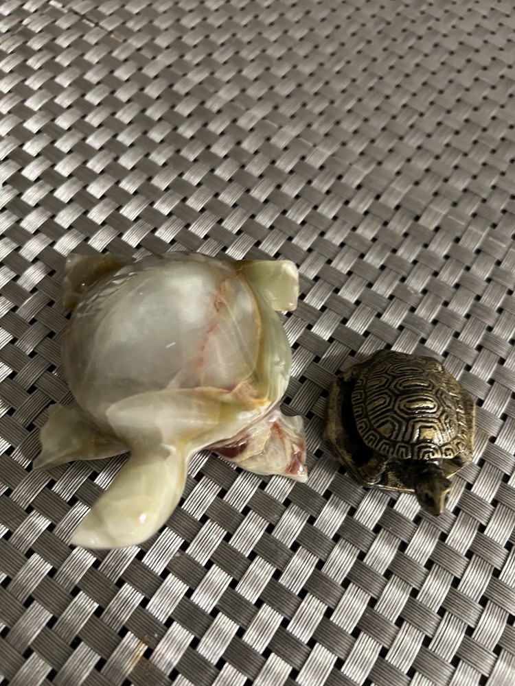 Turtle Collection