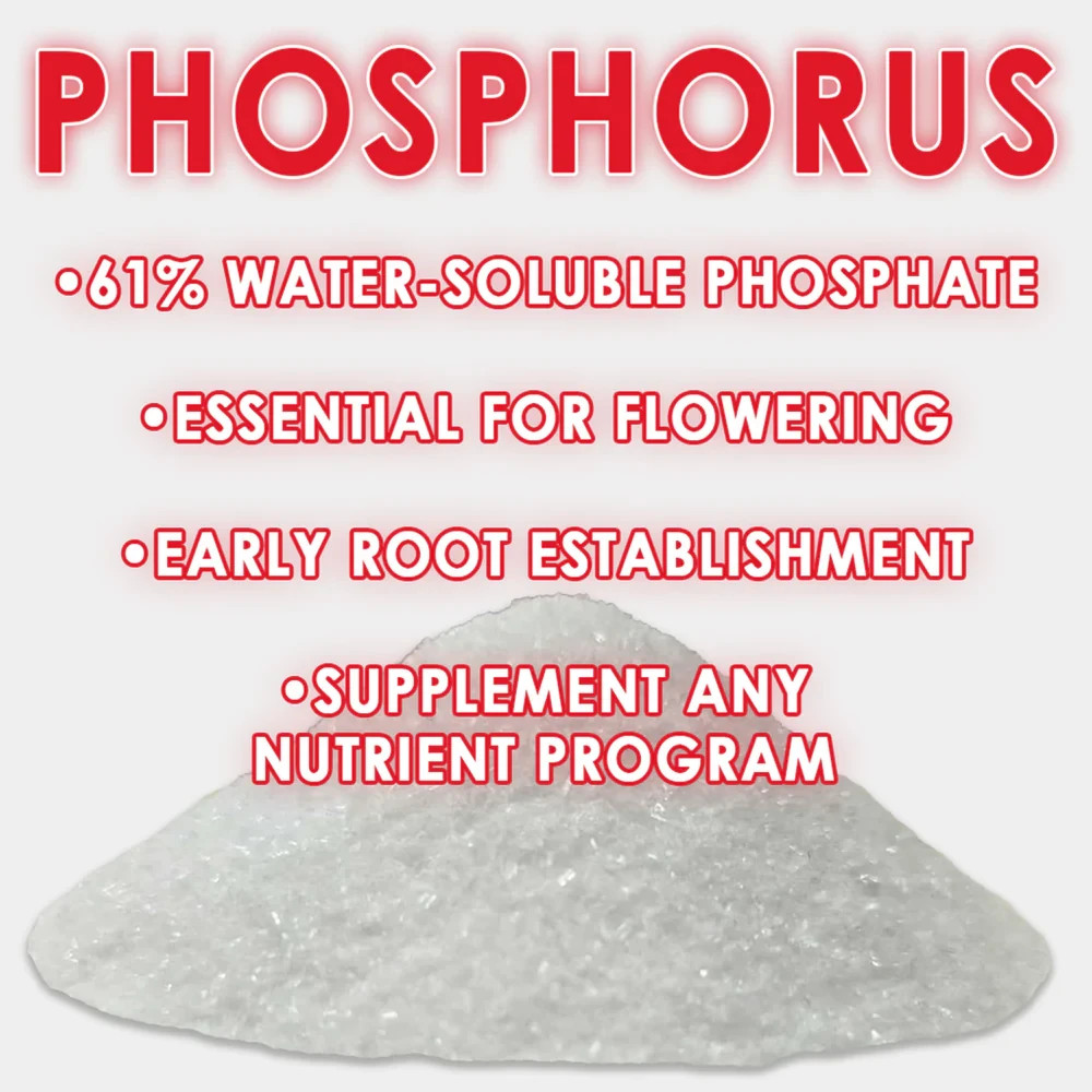 RAW Phosphorus | 61% Water-Soluble Phosphate + Ammonium Nitrogen - Bloom & Root