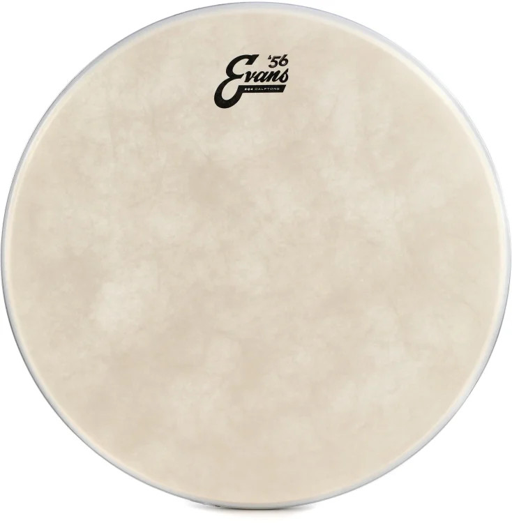 Evans EQ4 Calftone Bass Drumhead - 18"