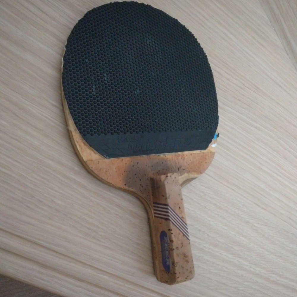 Nittaku ZEEK OFFENSIVE Table Racket