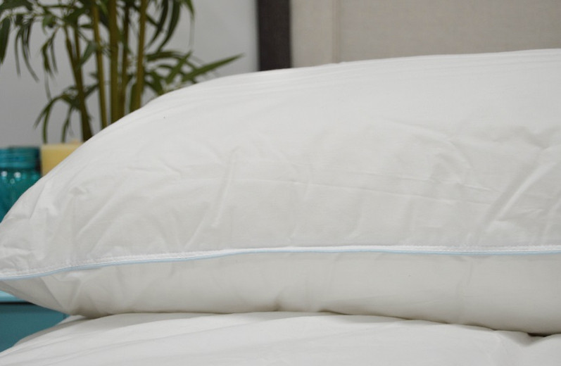 Holiday Inn Regular Shape Soft Down Alternative Pillow-Customer Return Clearance